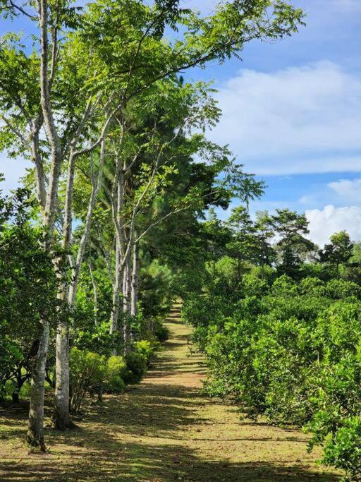 Hospedaje Finca Agroturistica Dona Rufa Rio Sereno Exterior foto
