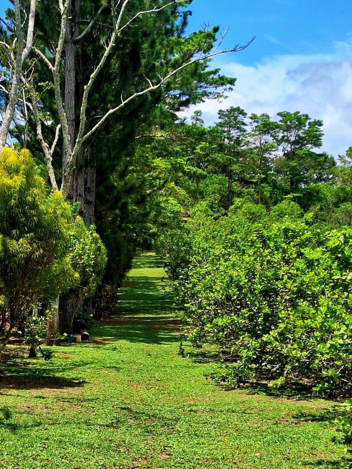 Hospedaje Finca Agroturistica Dona Rufa Rio Sereno Habitación foto
